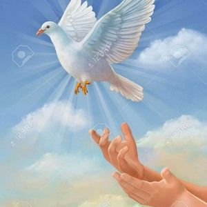 Meet your Posher, Maribel